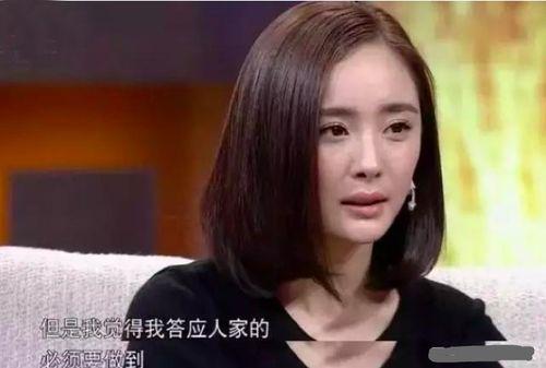 明星网红地位太高,地位之高，影响力无边