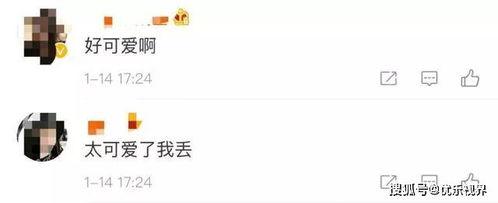 昆明微信吃瓜爆料,揭秘网络热点背后的真相