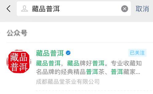 明星网红说说文案,时尚潮流与生活态度的完美融合