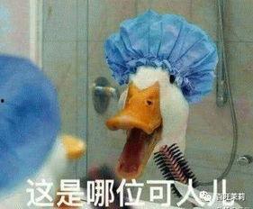 爆料吃瓜鸭鸭视频,一场网络爆料的狂欢盛宴