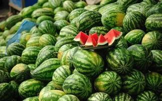 长春今日吃瓜事件真相视频,还原背后真相